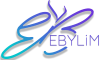 Ebylim-Uus-logo-taustata-gradiandiga-lilla-tekst